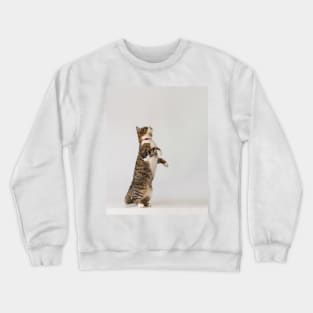 active cat playing Crewneck Sweatshirt